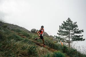 BIB: 
                            <button type="button" onclick="openModal(26000956)" class="btn btn-primary btn-sm float-right btn-popup" data-toggle="modal" data-target=".modal-high-quality">
                        <i class="fas fa-shopping-cart"></i> Add to Cart
                    </button>
                                            <button type="button" onclick="isThisMe(26000956, true)" class="btn btn-success btn-sm float-right btn-popup btn-isme hidden" data-toggle="tooltip" data-placement="bottom" title="นี่คือรูปของคุณใช่ไหม คลิกที่นี่เพื่อเอาเข้าอัลบั้ม">
                        <i class="fas fa-plus"></i> Add to album
                    </button>
                    <button type="button" onclick="isThisMe(26000956, false)" class="btn btn-warning btn-sm float-right btn-popup btn-isnotme hidden">
                        <i class="fas fa-ban"></i> Remove from album
                    </button>